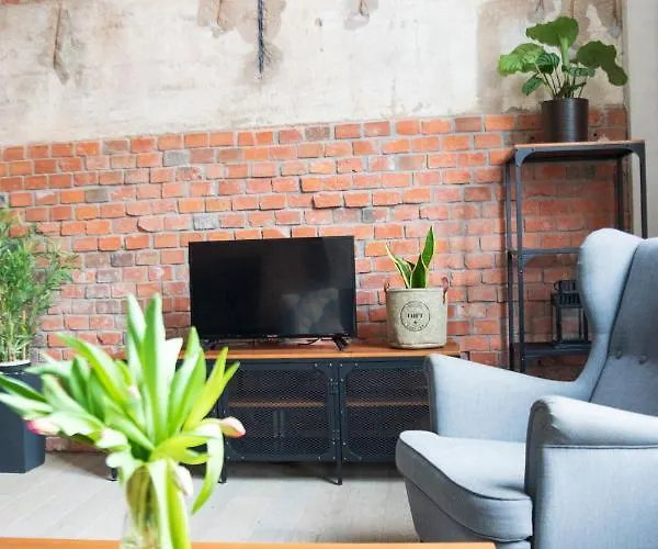 Redcity Loft 309